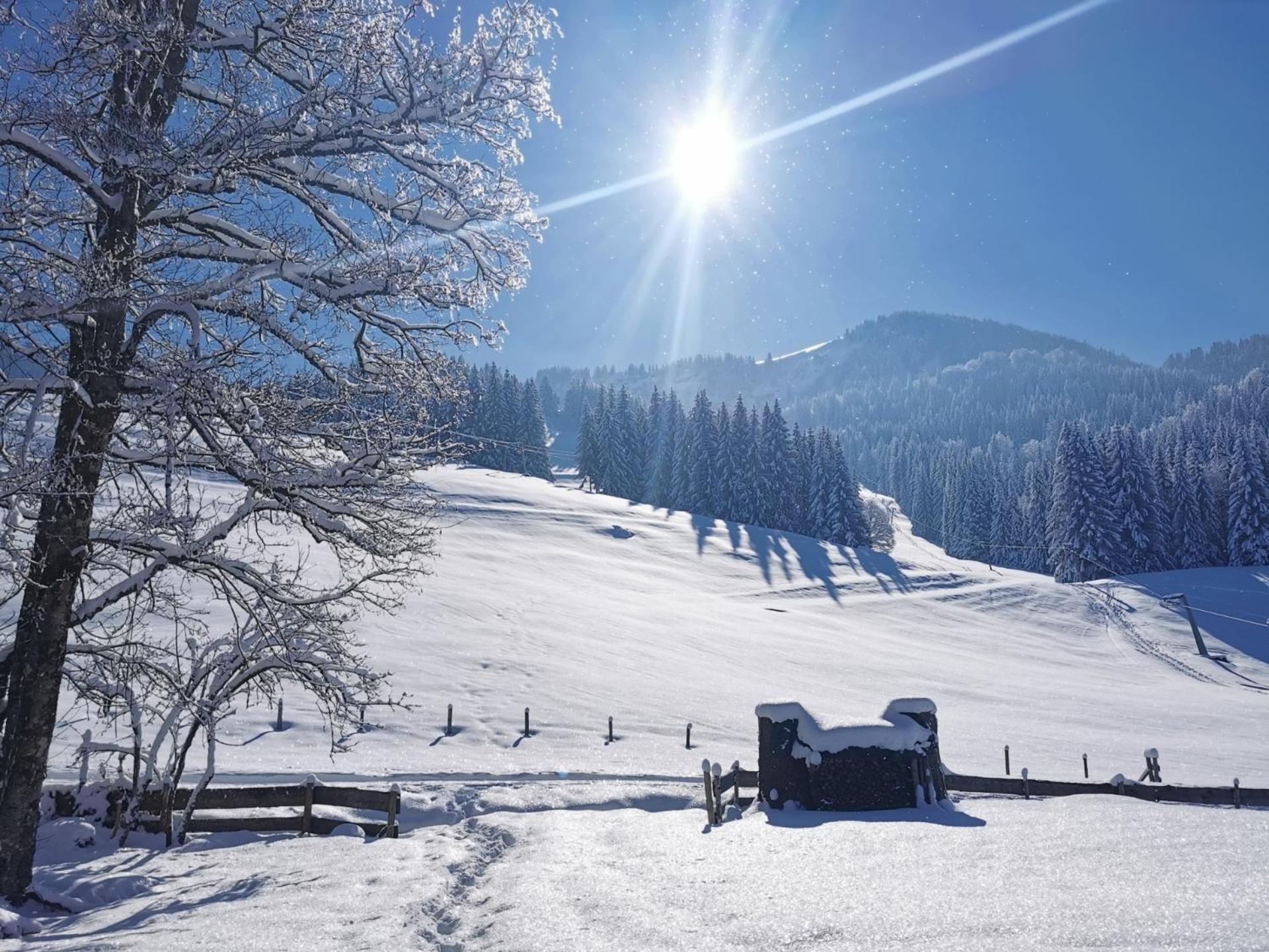 Konstanzer Bergblick Mit Wintergarten Oberstaufen Exterior foto